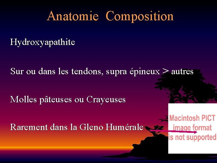 Anatomie Composition Hydroxyapathite Sur ou dans les tendons, supra épineux > autres Molles pâteuses