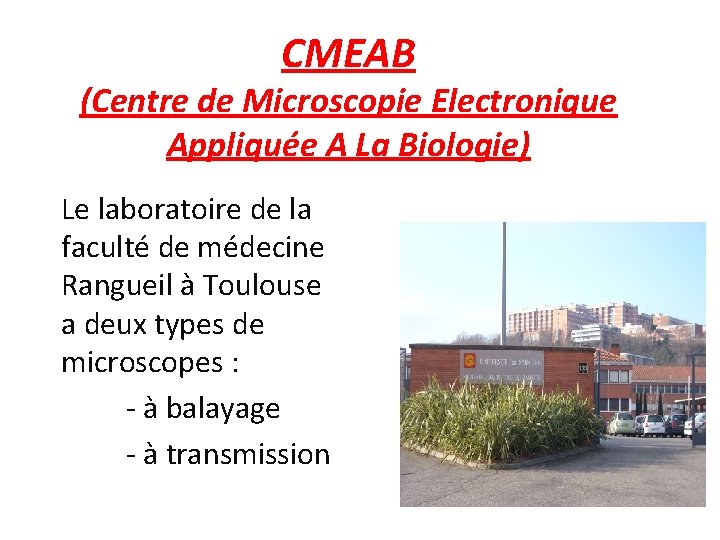 CMEAB (Centre de Microscopie Electronique Appliquée A La Biologie) Le laboratoire de la faculté