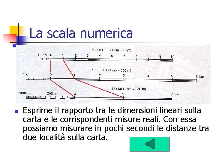 La scala numerica n Esprime il rapporto tra le dimensioni lineari sulla carta e