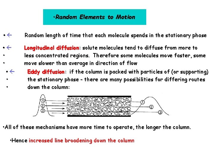  • Random Elements to Motion • ß Random length of time that each