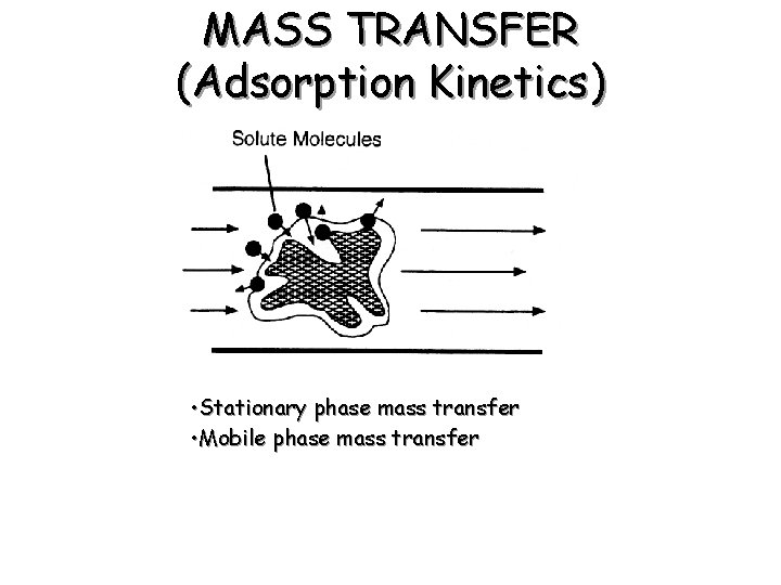 MASS TRANSFER (Adsorption Kinetics) • Stationary phase mass transfer • Mobile phase mass transfer