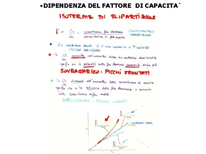  • DIPENDENZA DEL FATTORE DI CAPACITA` 