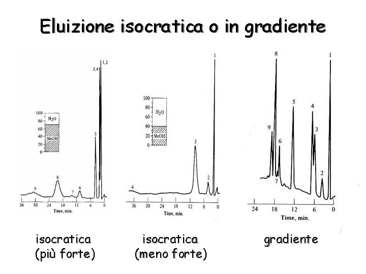 Eluizione isocratica o in gradiente isocratica (più forte) isocratica (meno forte) gradiente 