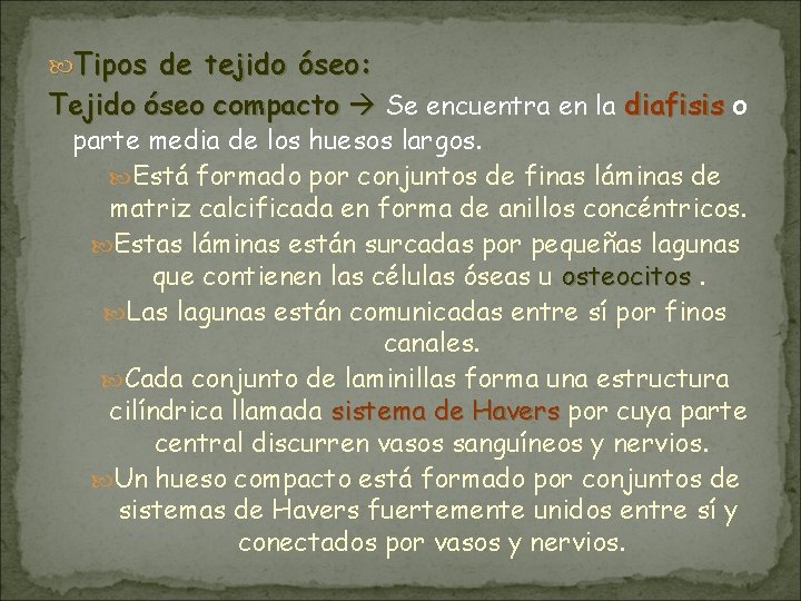  Tipos de tejido óseo: Tejido óseo compacto Se encuentra en la diafisis o