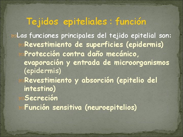 Tejidos epiteliales : función Las funciones principales del tejido epitelial son: Revestimiento de superficies