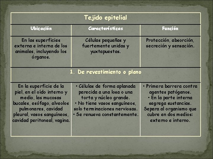 Tejido epitelial Ubicación Características Función En las superficies externa e interna de los animales,