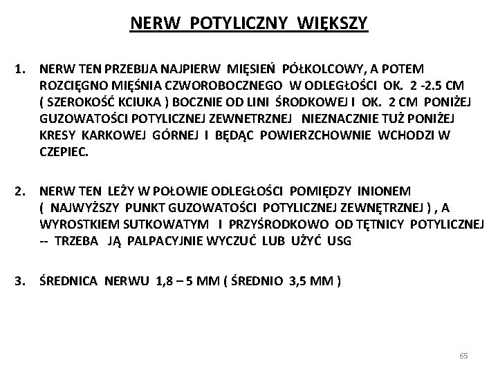 NERW POTYLICZNY WIĘKSZY 1. NERW TEN PRZEBIJA NAJPIERW MIĘSIEŃ PÓŁKOLCOWY, A POTEM ROZCIĘGNO MIĘŚNIA