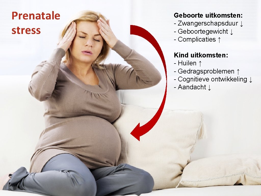 Prenatale stress Geboorte uitkomsten: - Zwangerschapsduur ↓ - Geboortegewicht ↓ - Complicaties ↑ Kind