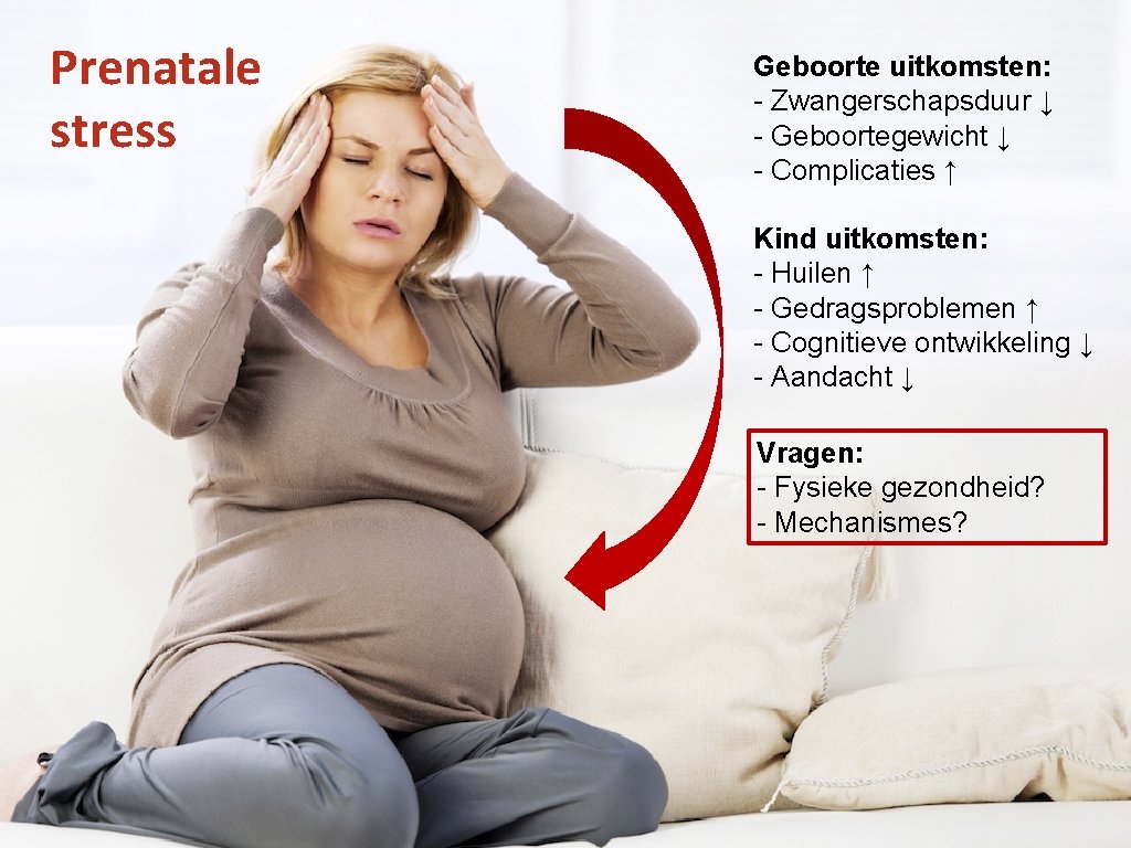 Prenatale stress Geboorte uitkomsten: - Zwangerschapsduur ↓ - Geboortegewicht ↓ - Complicaties ↑ Kind