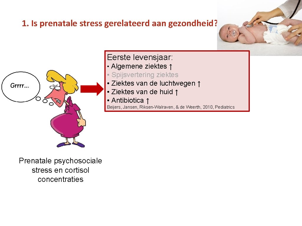 1. Is prenatale stress gerelateerd aan gezondheid? Eerste levensjaar: • Algemene ziektes ↑ •