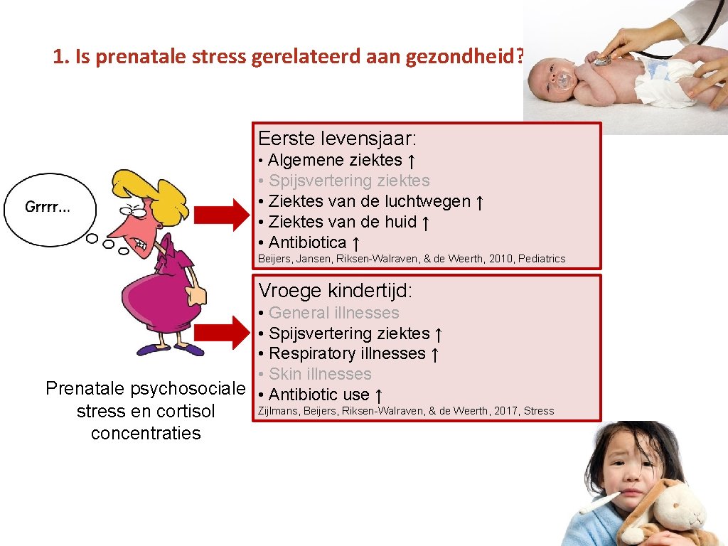 1. Is prenatale stress gerelateerd aan gezondheid? Eerste levensjaar: • Algemene ziektes ↑ •