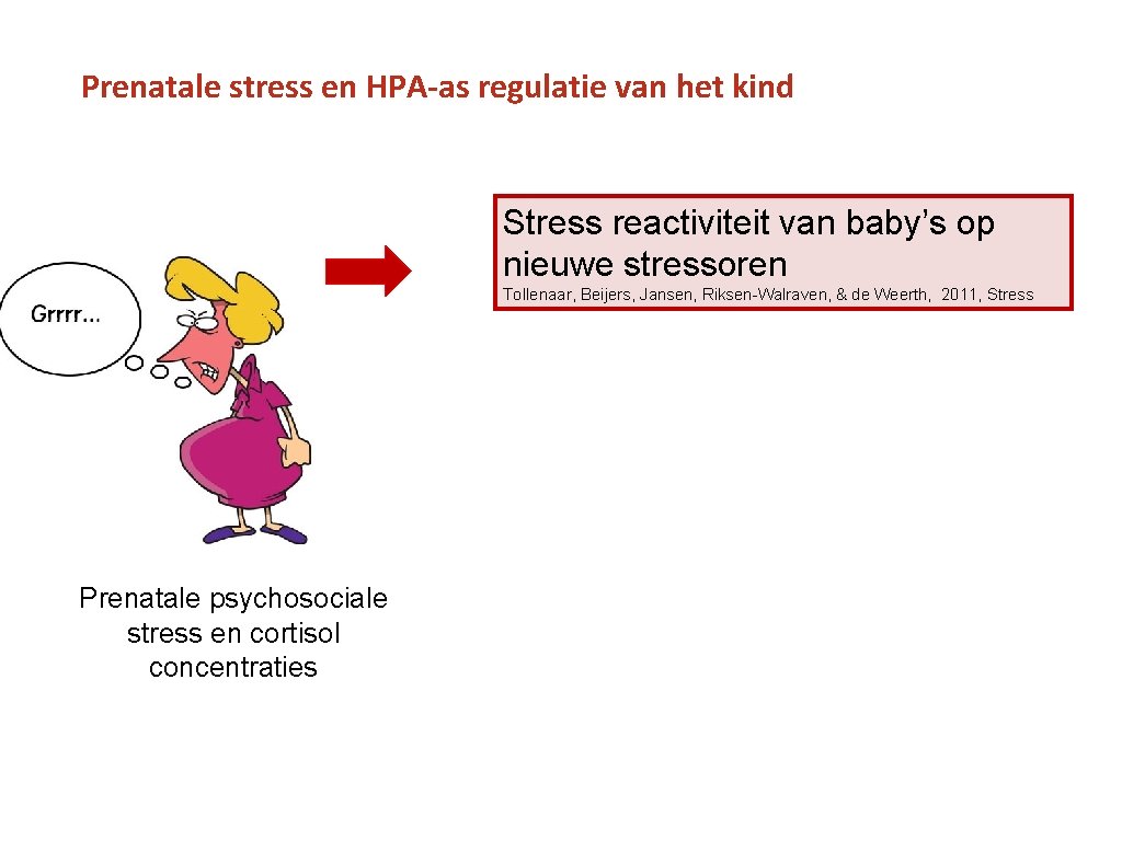 Prenatale stress en HPA-as regulatie van het kind Stress reactiviteit van baby’s op nieuwe