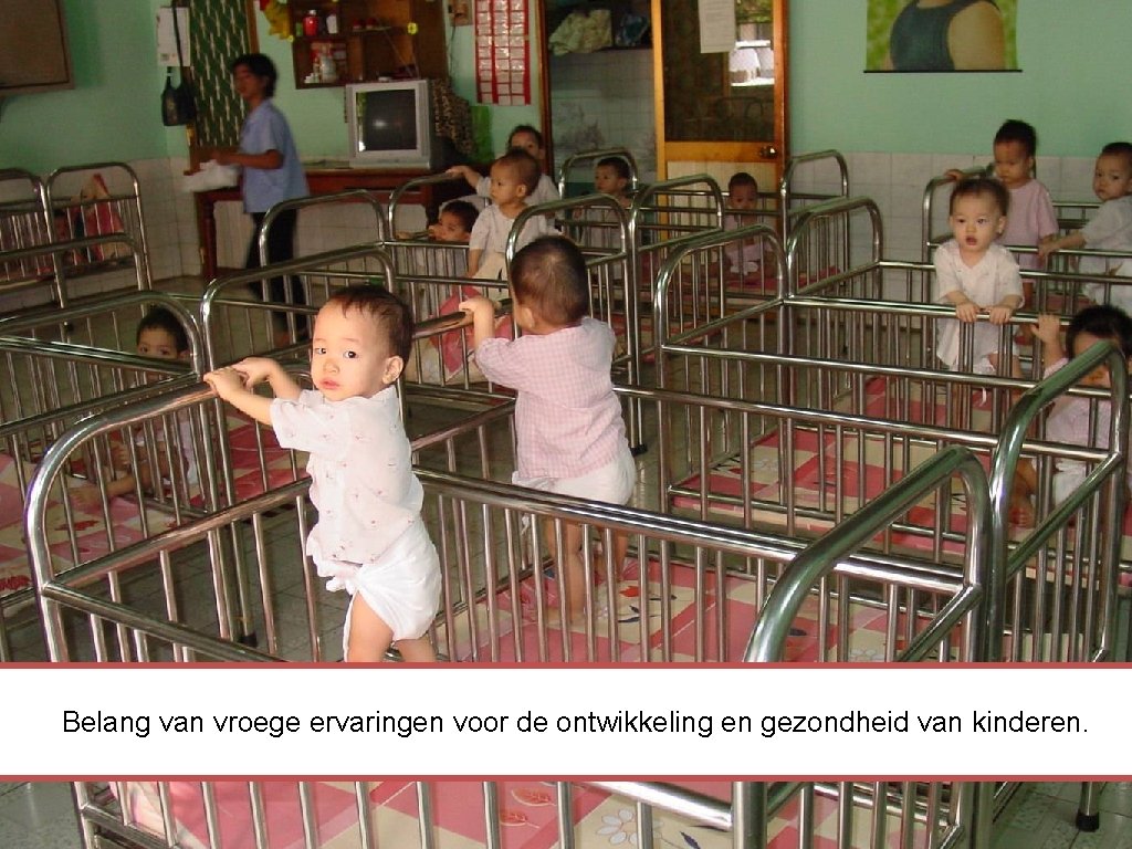 Belang van vroege ervaringen voor de ontwikkeling en gezondheid van kinderen. 