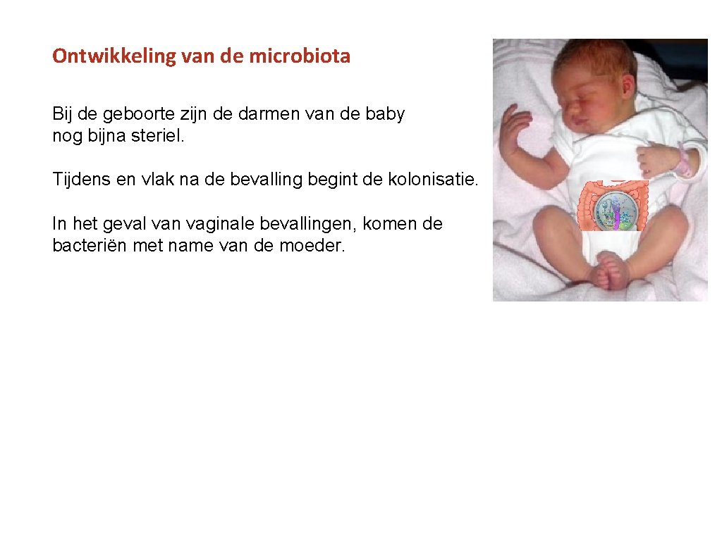 Ontwikkeling van de microbiota Bij de geboorte zijn de darmen van de baby nog