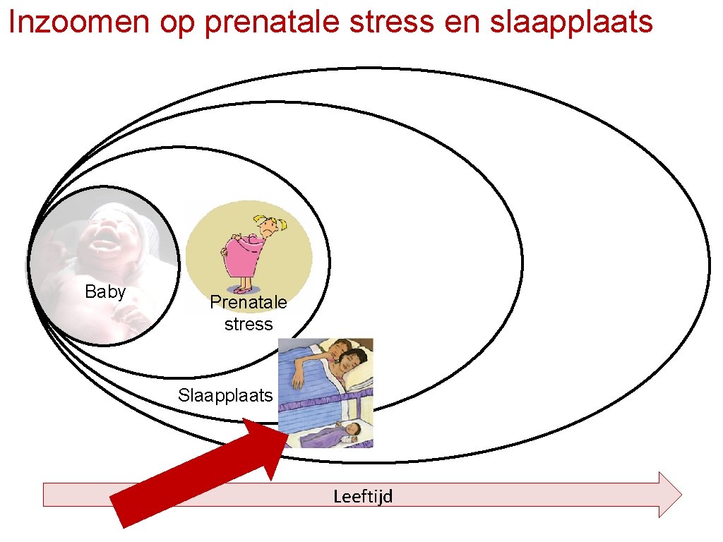 Inzoomen op prenatale stress en slaapplaats Baby Prenatale stress Kinderopvang Slaapplaats Leeftijd 