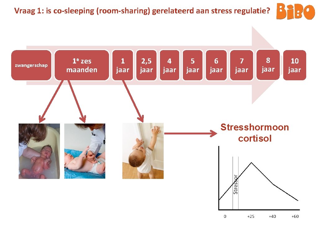 Vraag 1: is co-sleeping (room-sharing) gerelateerd aan stress regulatie? zwangerschap 1 e zes maanden