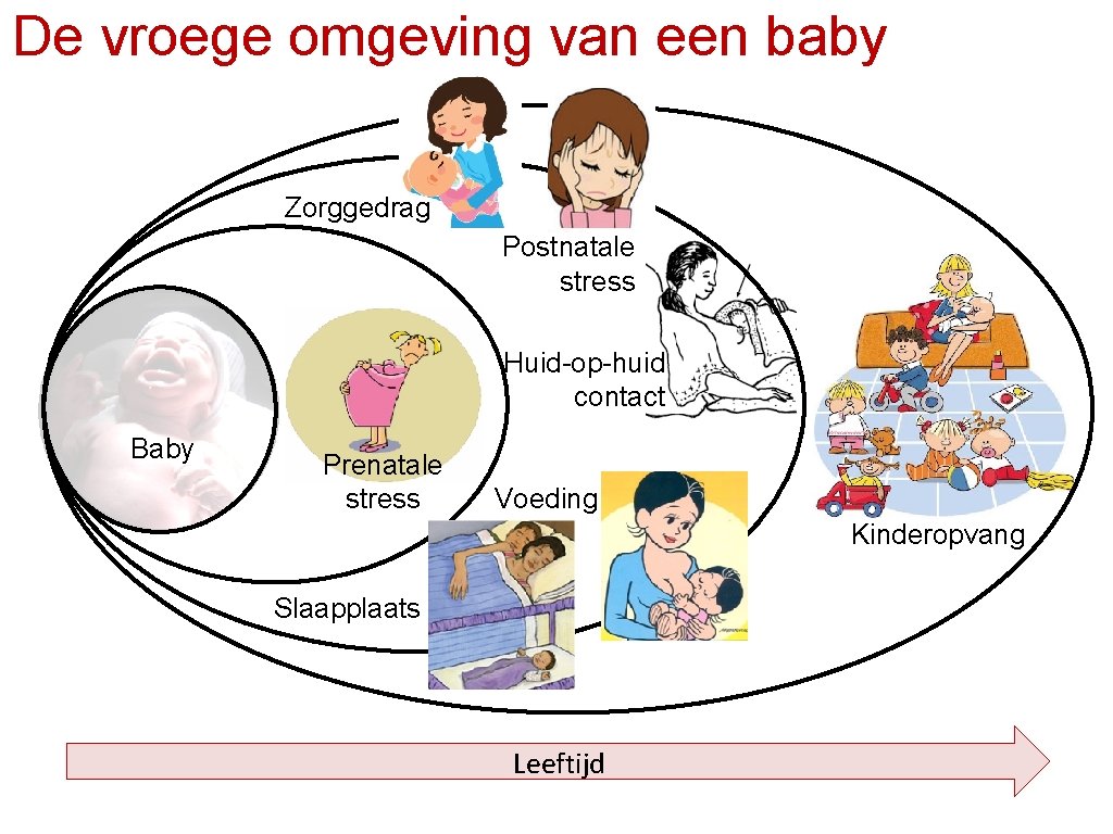 De vroege omgeving van een baby Zorggedrag Postnatale stress Huid-op-huid contact Baby Prenatale stress