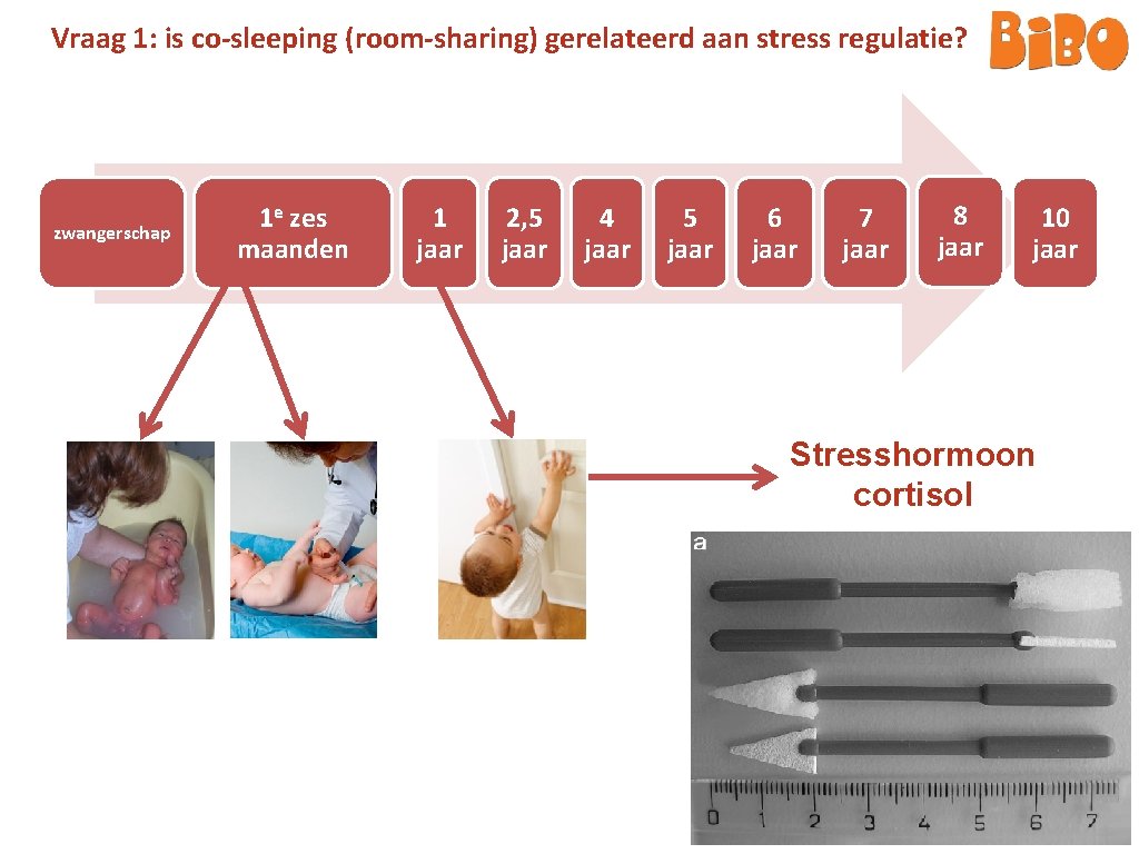 Vraag 1: is co-sleeping (room-sharing) gerelateerd aan stress regulatie? zwangerschap 1 e zes maanden