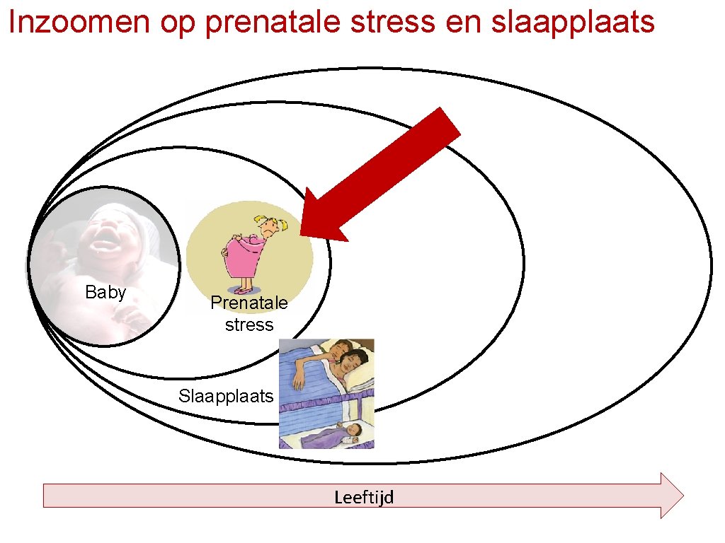 Inzoomen op prenatale stress en slaapplaats Baby Prenatale stress Kinderopvang Slaapplaats Leeftijd 