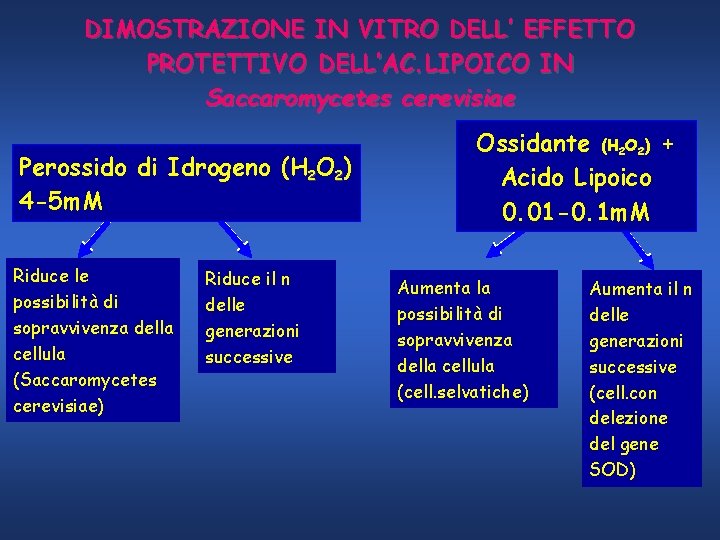 DIMOSTRAZIONE IN VITRO DELL’ EFFETTO PROTETTIVO DELL’AC. LIPOICO IN Saccaromycetes cerevisiae Perossido di Idrogeno
