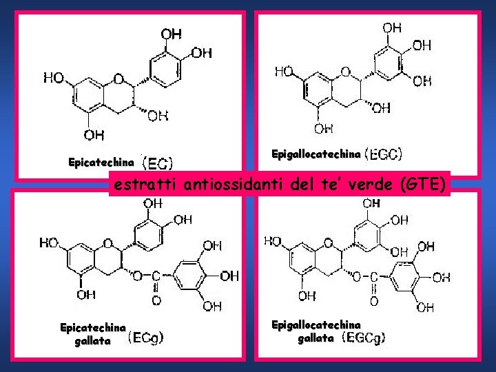 Epicatechina Epigallocatechina estratti antiossidanti del te’ verde (GTE) Epicatechina gallata Epigallocatechina gallata 