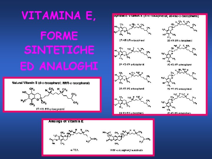 VITAMINA E, FORME SINTETICHE ED ANALOGHI 