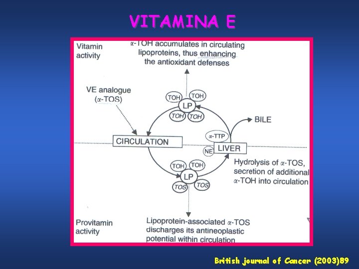 VITAMINA E British journal of Cancer (2003)89 