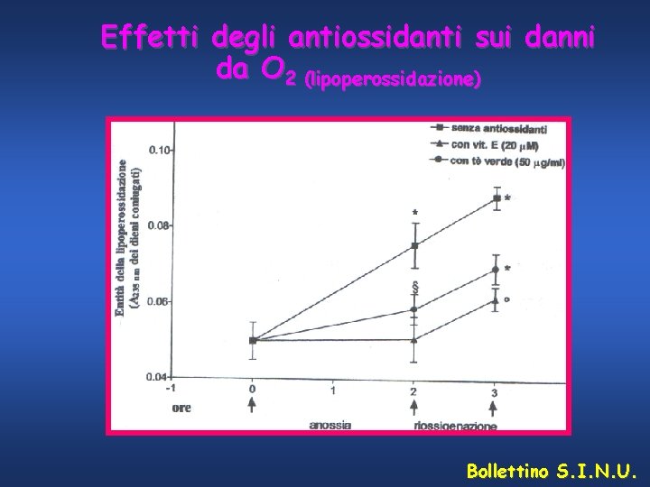 Effetti degli antiossidanti sui danni da O 2 (lipoperossidazione) Bollettino S. I. N. U.