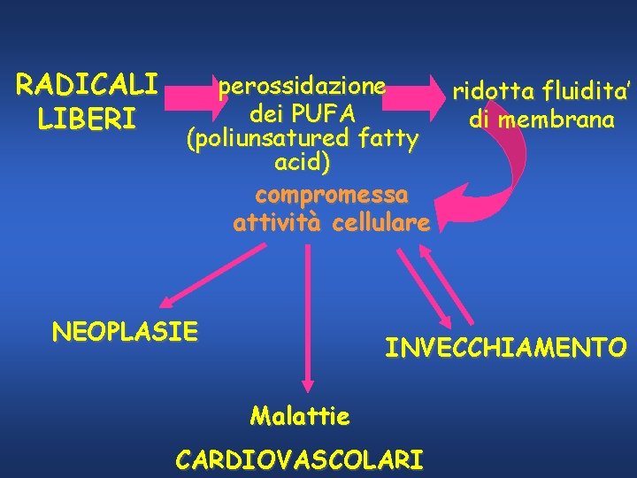 RADICALI LIBERI perossidazione ridotta fluidita’ dei PUFA di membrana (poliunsatured fatty acid) compromessa attività