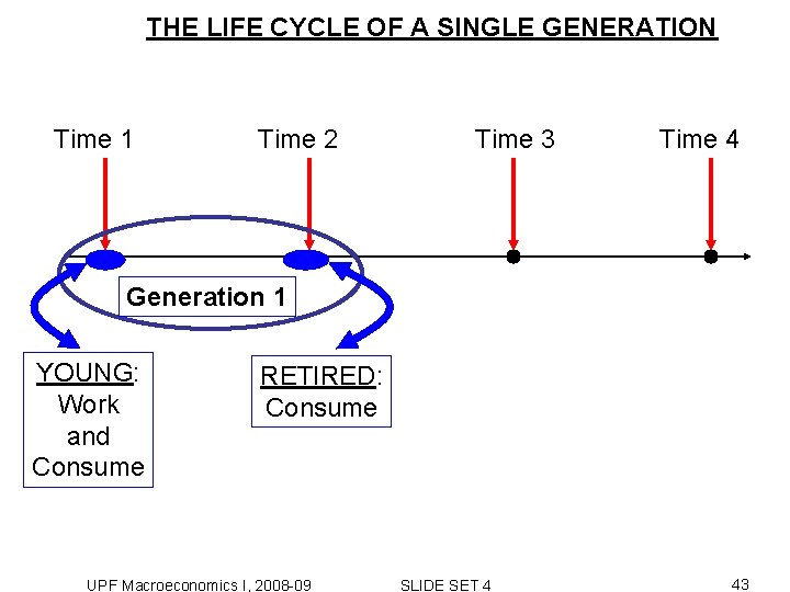 THE LIFE CYCLE OF A SINGLE GENERATION Time 1 Time 2 Time 3 Time THE LIFE CYCLE OF A SINGLE GENERATION Time 1 Time 2 Time 3 Time