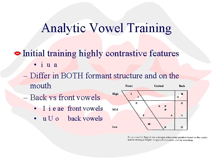 Analytic Vowel Training Initial training highly contrastive features • i u a – Differ