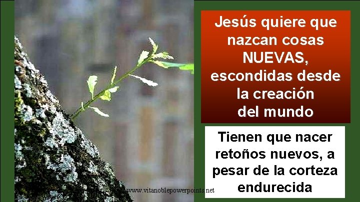 Jesús quiere que nazcan cosas NUEVAS, escondidas desde la creación del mundo Tienen que