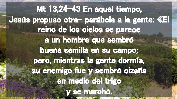 Mt 13, 24 -43 En aquel tiempo, Jesús propuso otra- parábola a la gente: