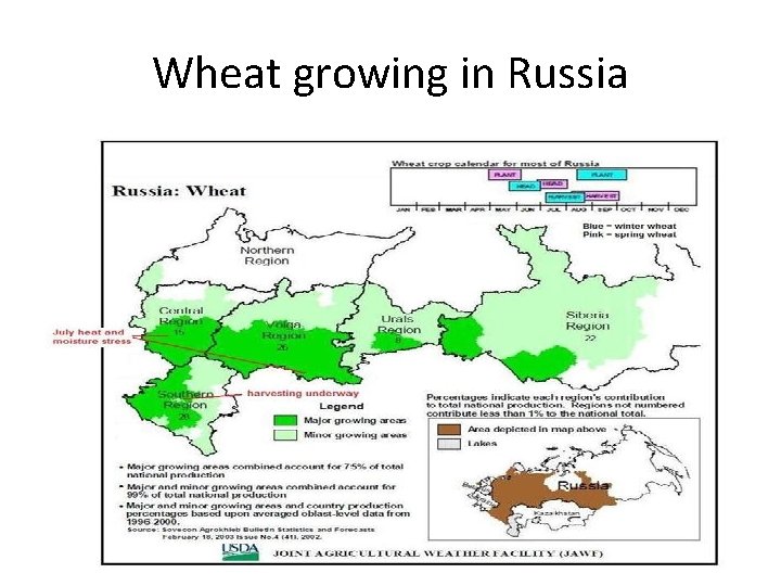 Wheat growing in Russia 