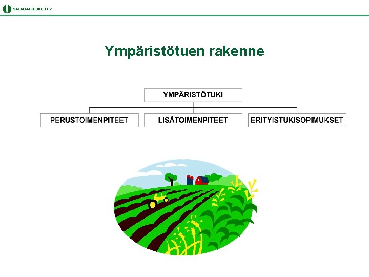 Ympäristötuen rakenne 
