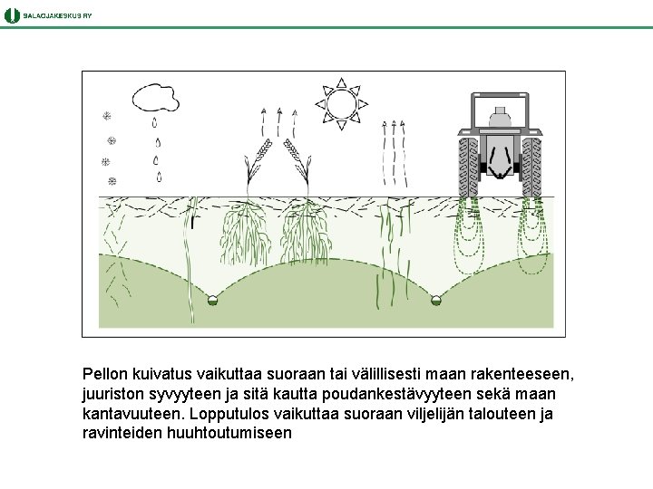 Pellon kuivatus vaikuttaa suoraan tai välillisesti maan rakenteeseen, juuriston syvyyteen ja sitä kautta poudankestävyyteen
