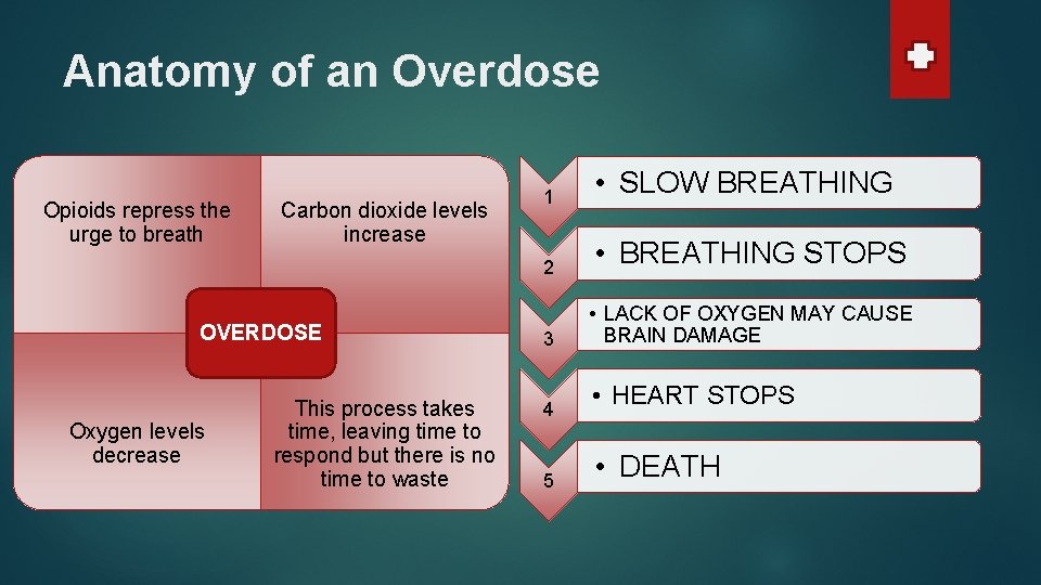 Anatomy of an Overdose Opioids repress the urge to breath Carbon dioxide levels increase Anatomy of an Overdose Opioids repress the urge to breath Carbon dioxide levels increase