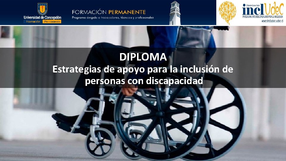 DIPLOMA Estrategias de apoyo para la inclusión de personas con discapacidad 