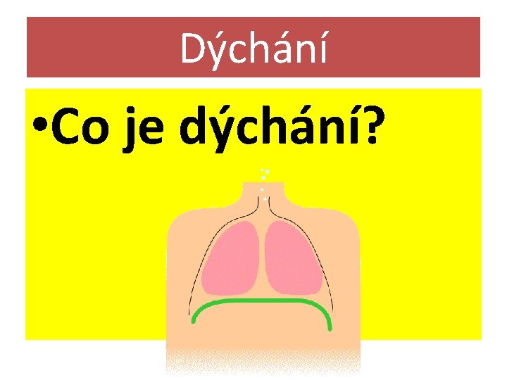 Dýchání • Co je dýchání? 