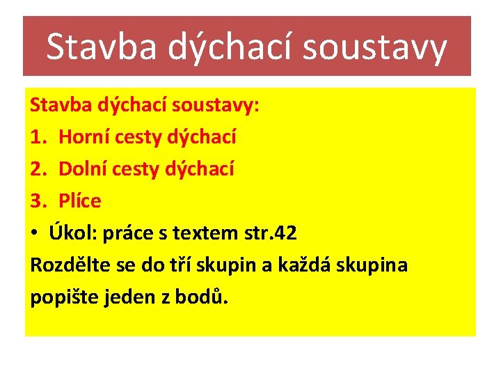 Stavba dýchací soustavy: 1. Horní cesty dýchací 2. Dolní cesty dýchací 3. Plíce •