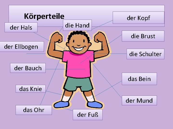  Körperteile der Hals die Hand der Kopf die Brust der Ellbogen die Schulter