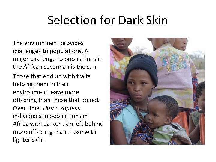 Selection for Dark Skin The environment provides challenges to populations. A major challenge to