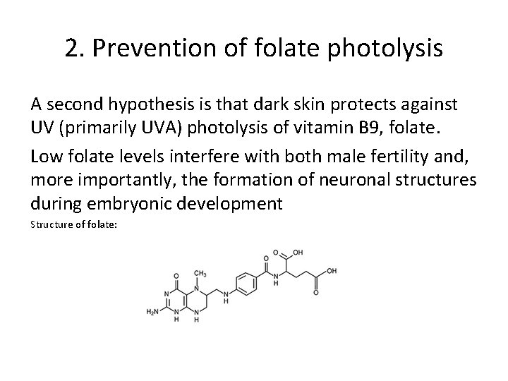 2. Prevention of folate photolysis A second hypothesis is that dark skin protects against