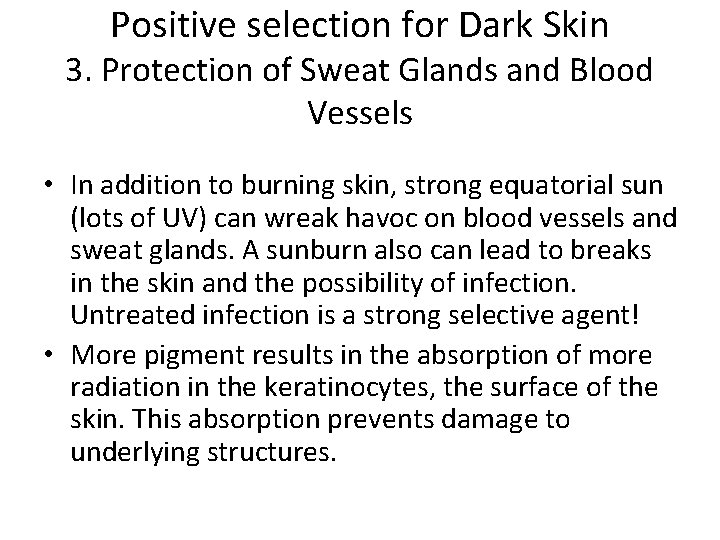Positive selection for Dark Skin 3. Protection of Sweat Glands and Blood Vessels •