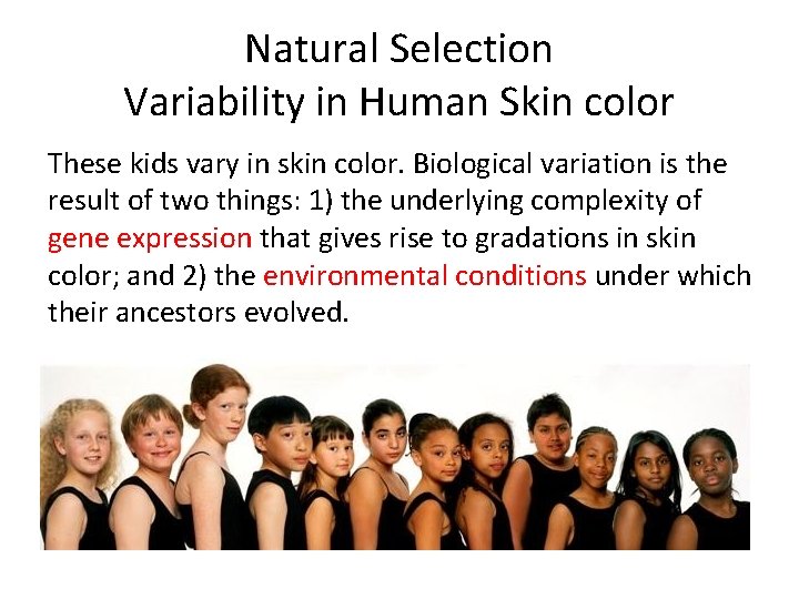 Natural Selection Variability in Human Skin color These kids vary in skin color. Biological