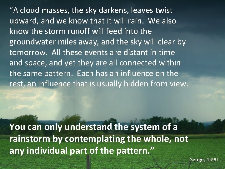 “A cloud masses, the sky darkens, leaves twist upward, and we know that it