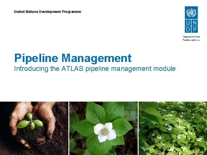 United Nations Development Programme Pipeline Management Introducing the ATLAS pipeline management module 