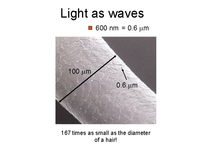 Light as waves 600 nm = 0. 6 m 100 m 0. 6 m