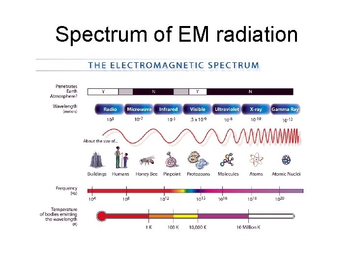 Spectrum of EM radiation 