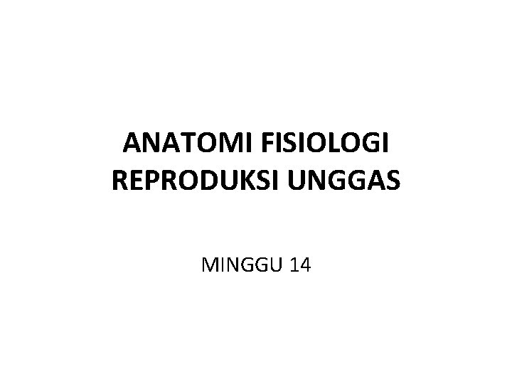 ANATOMI FISIOLOGI REPRODUKSI UNGGAS MINGGU 14 